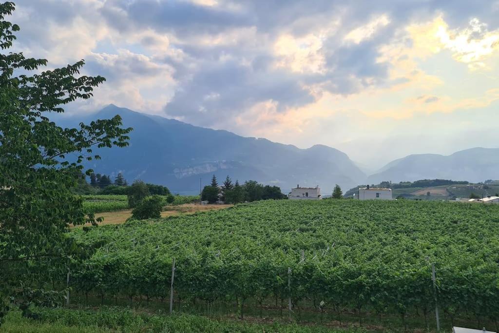 Appartamenti Moderni, Luminosi E Tranquilli Con Parcheggio Privato - Agritur La Tenuta トレント エクステリア 写真