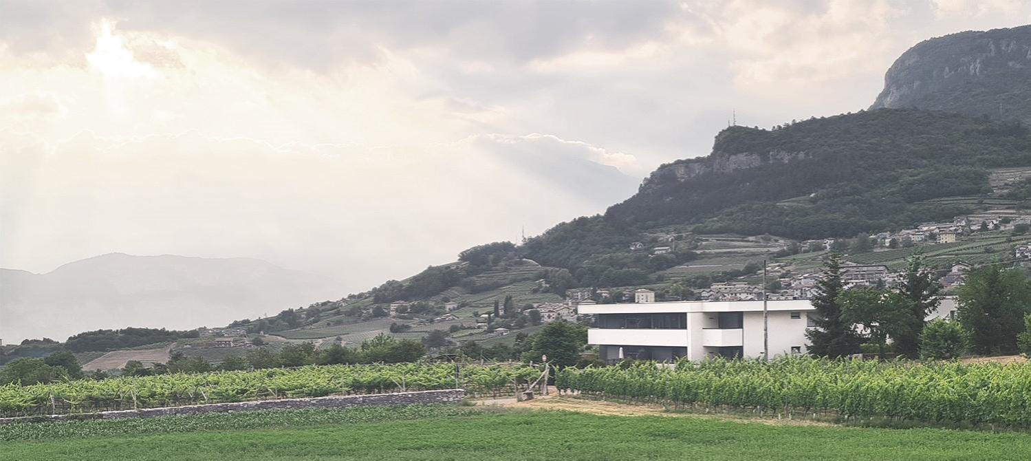 Appartamenti Moderni, Luminosi E Tranquilli Con Parcheggio Privato - Agritur La Tenuta トレント エクステリア 写真