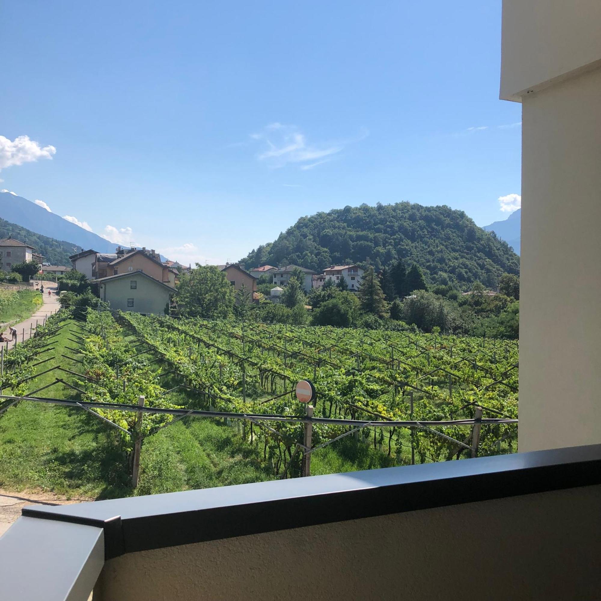 Appartamenti Moderni, Luminosi E Tranquilli Con Parcheggio Privato - Agritur La Tenuta トレント エクステリア 写真