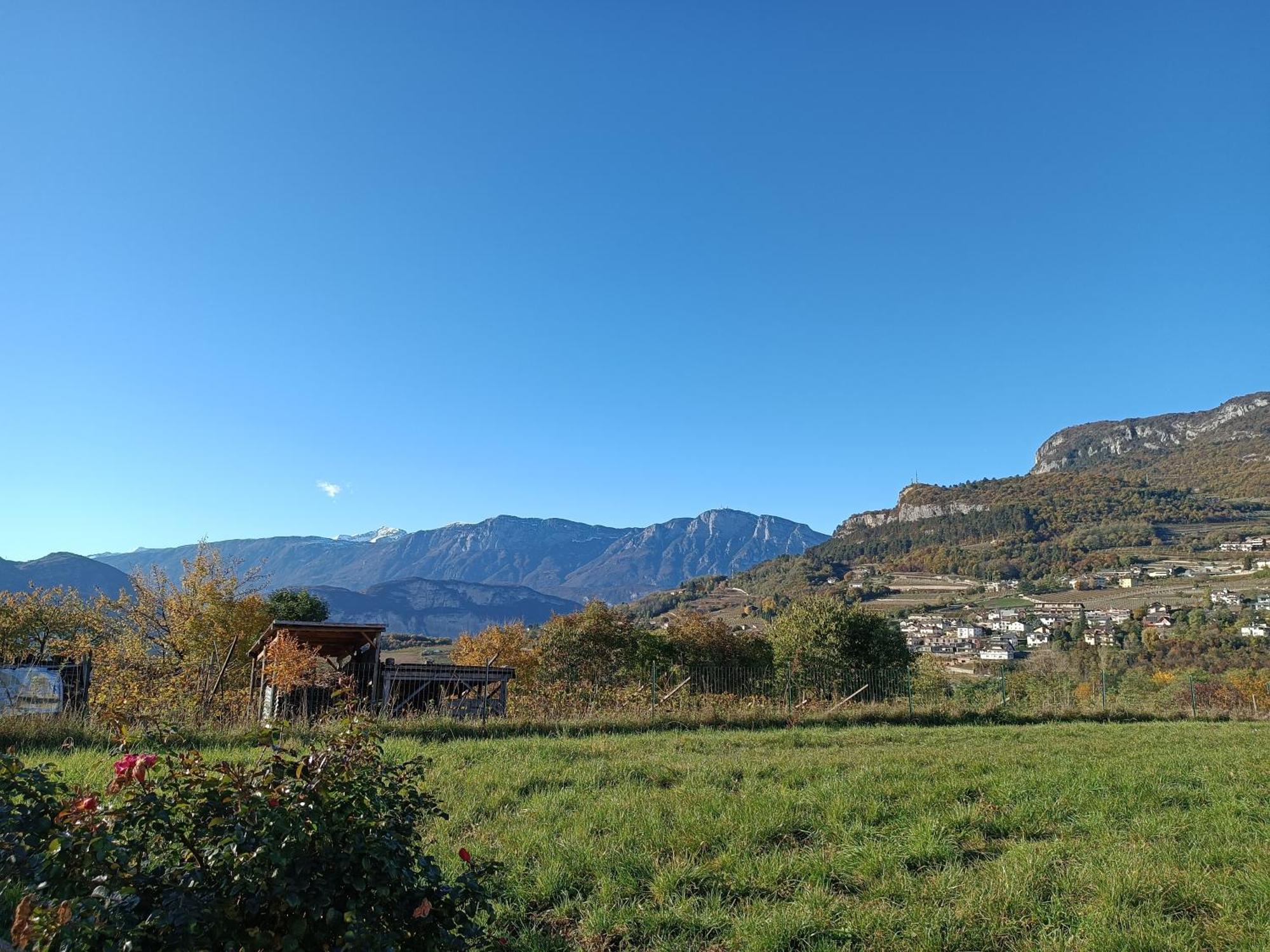 Appartamenti Moderni, Luminosi E Tranquilli Con Parcheggio Privato - Agritur La Tenuta トレント エクステリア 写真