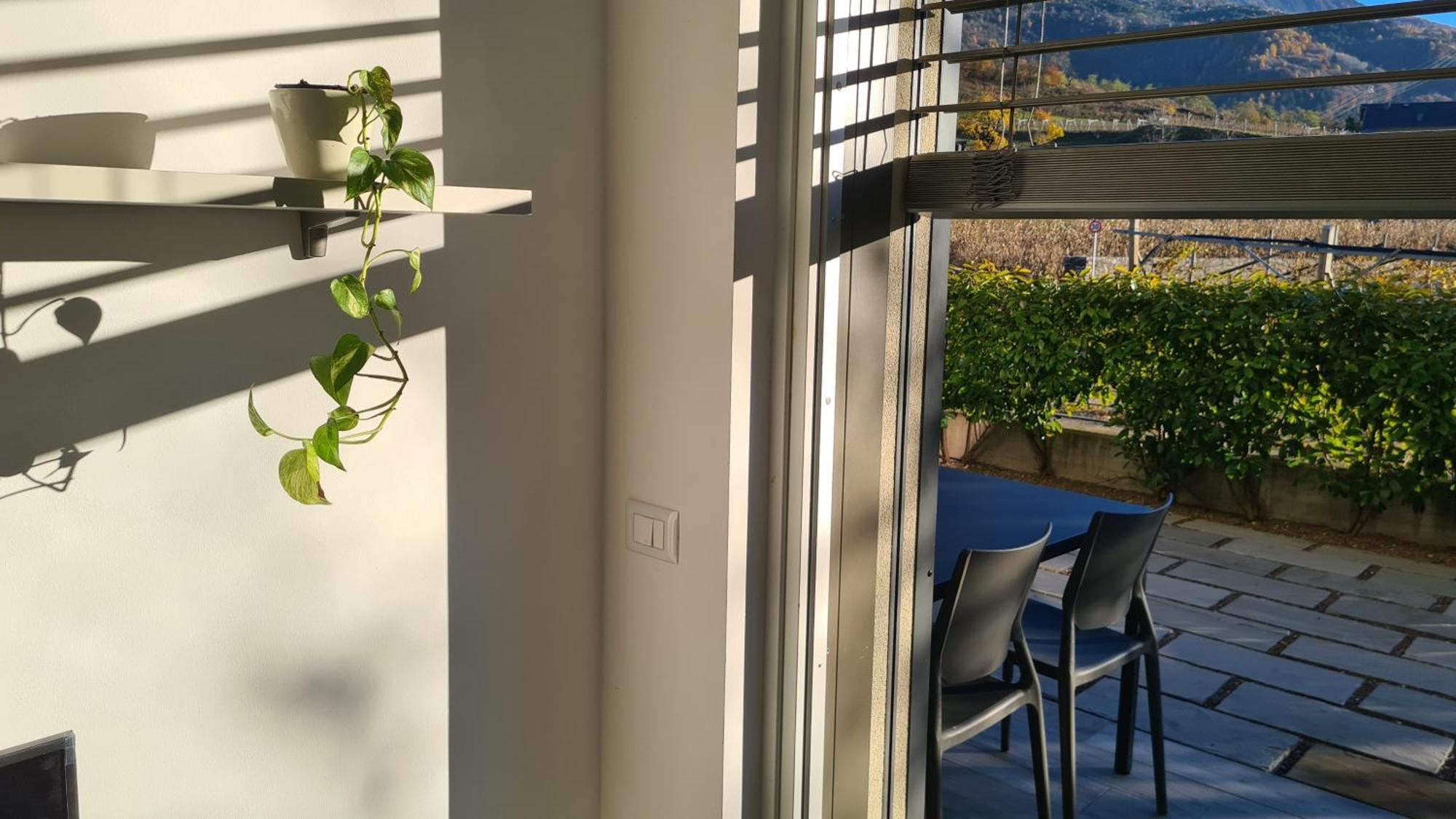 Appartamenti Moderni, Luminosi E Tranquilli Con Parcheggio Privato - Agritur La Tenuta トレント エクステリア 写真